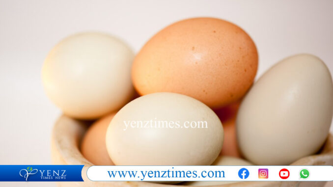 egg